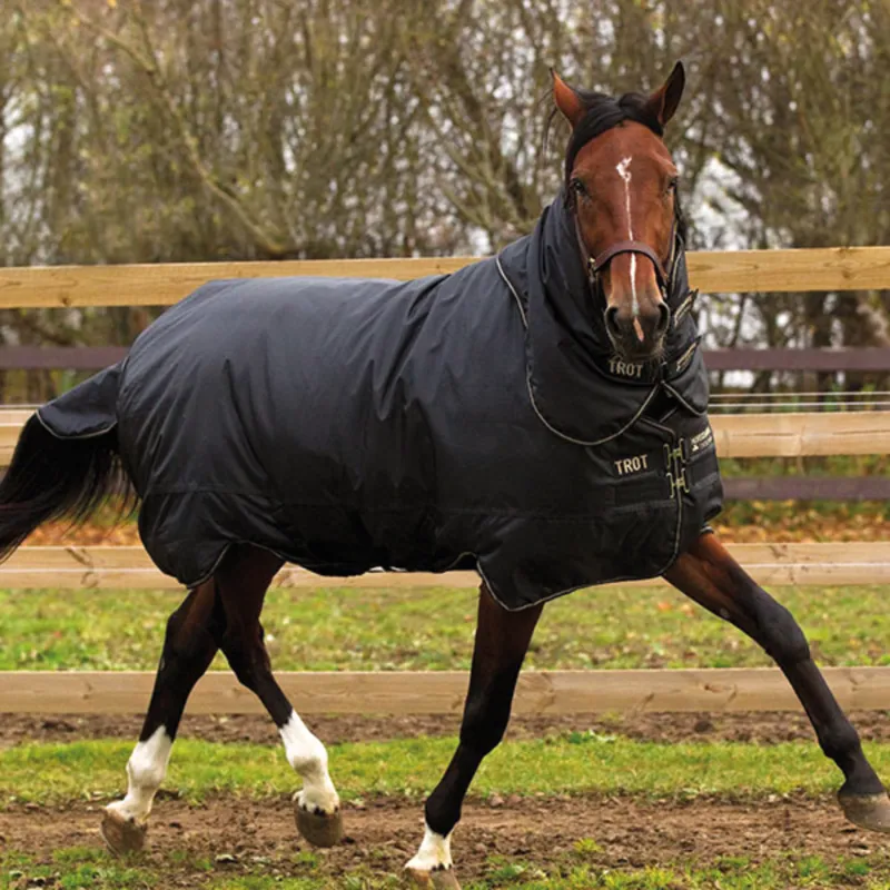 Horseware Trot Plus 350g Turnout Rug - Black/Black/Tan